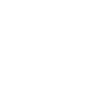 BWS logo